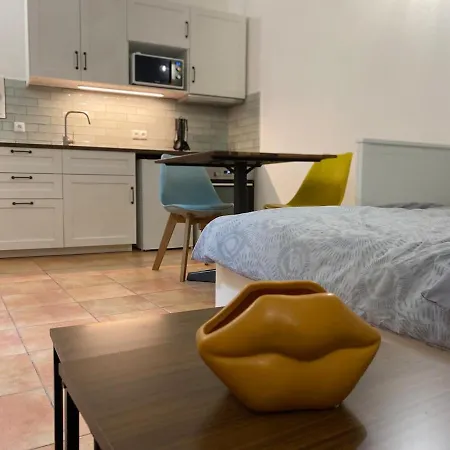 公寓 Cocon Nimois Plein Coeur-rue Fresque Arenes A 50 M 尼姆